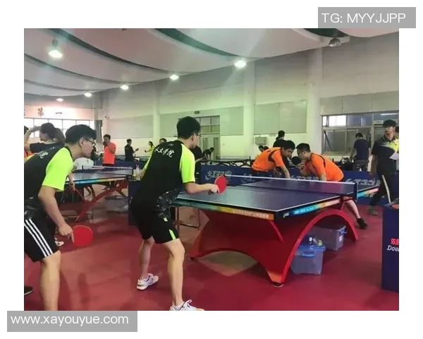 南京乒乓球队意识探讨与发展方向的深度分析与思考